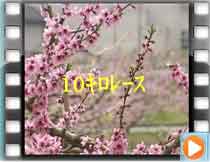 10�L���̕�