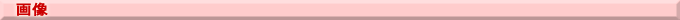 �R�[�X width=